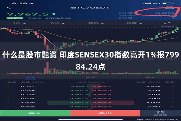 什么是股市融资 印度SENSEX30指数高开1%报79984.24点