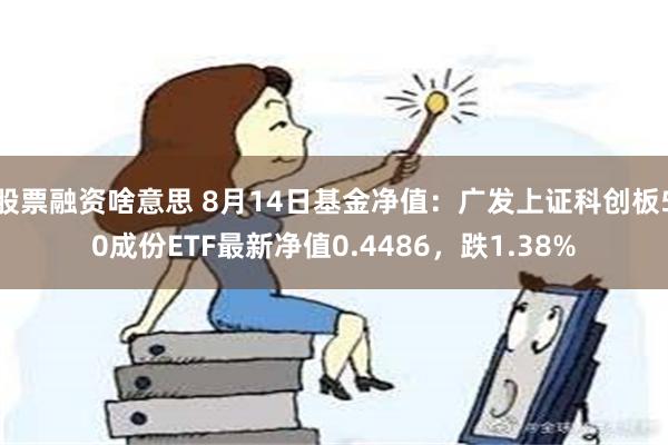 股票融资啥意思 8月14日基金净值：广发上证科创板50成份ETF最新净值0.4486，跌1.38%