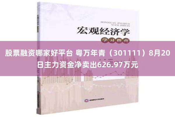 股票融资哪家好平台 粤万年青（301111）8月20日主力资金净卖出626.97万元