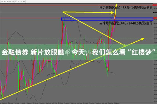 金融债券 新片放眼瞧│今天，我们怎么看“红楼梦”