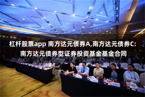 杠杆股票app 南方达元债券A,南方达元债券C: 南方达元债券型证券投资基金基金合同