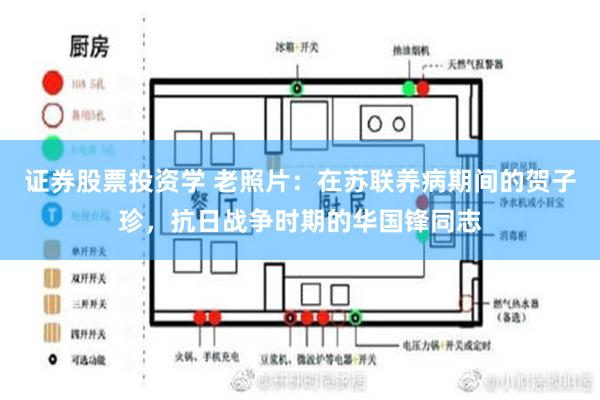 证券股票投资学 老照片：在苏联养病期间的贺子珍，抗日战争时期的华国锋同志